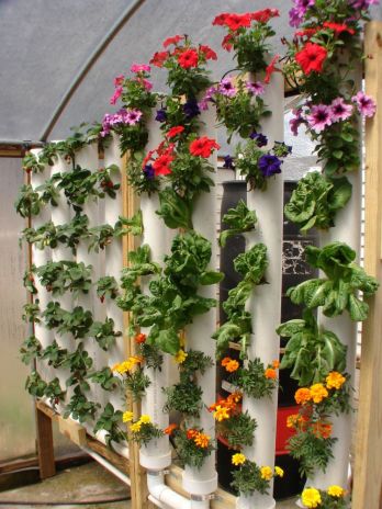 Vertical Gardening Plans and DVD