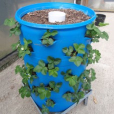 3-D Barrel Organic Gardening System Plans and DVD