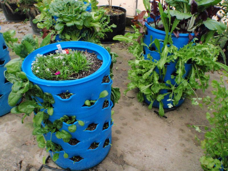 Start an organic and space-saver garden!