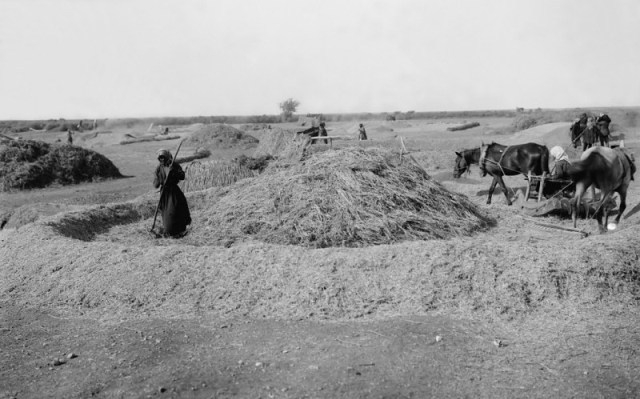 File:Sweeping heaps.jpg