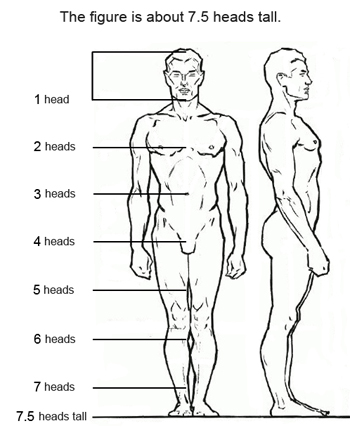 File:Figure-drawing-proportions.jpg