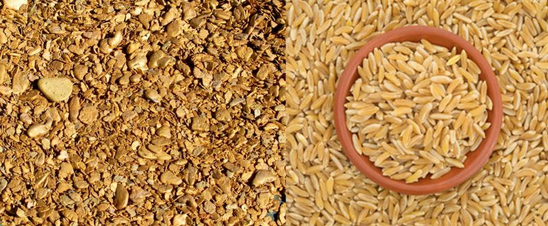 File:Gold and grain.jpg