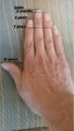 Hand measurement.jpg