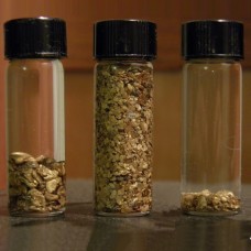 How & Where To Look For Gold DVD Set